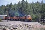 BNSF 7727 West